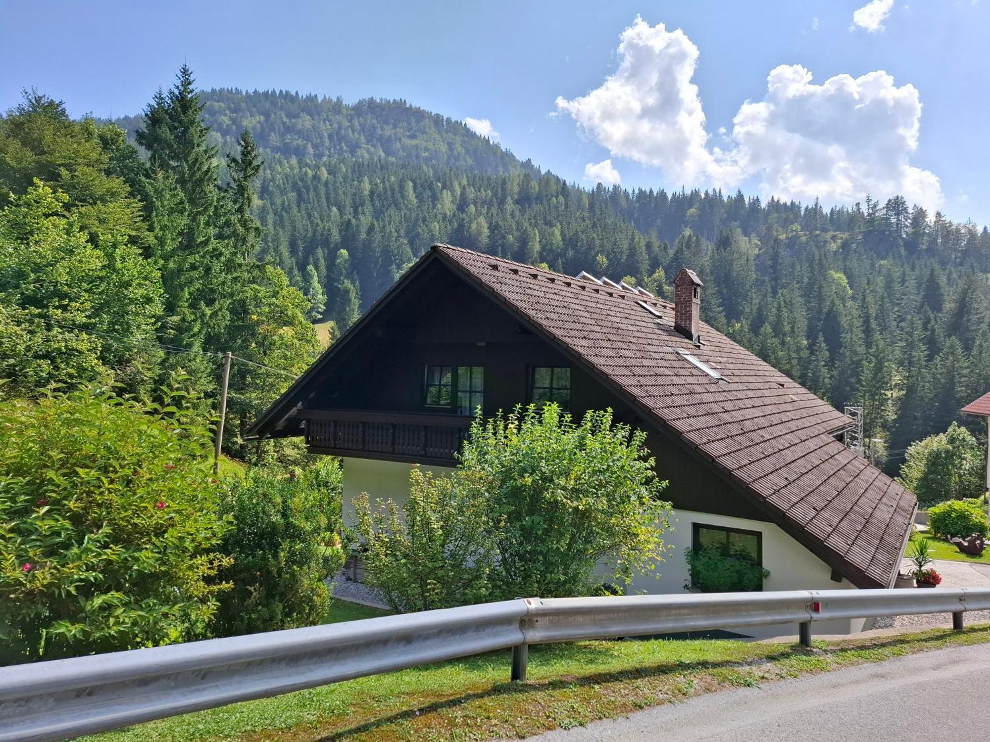 Apartma Cvrsta Trojka Jesenice Ngoại thất bức ảnh