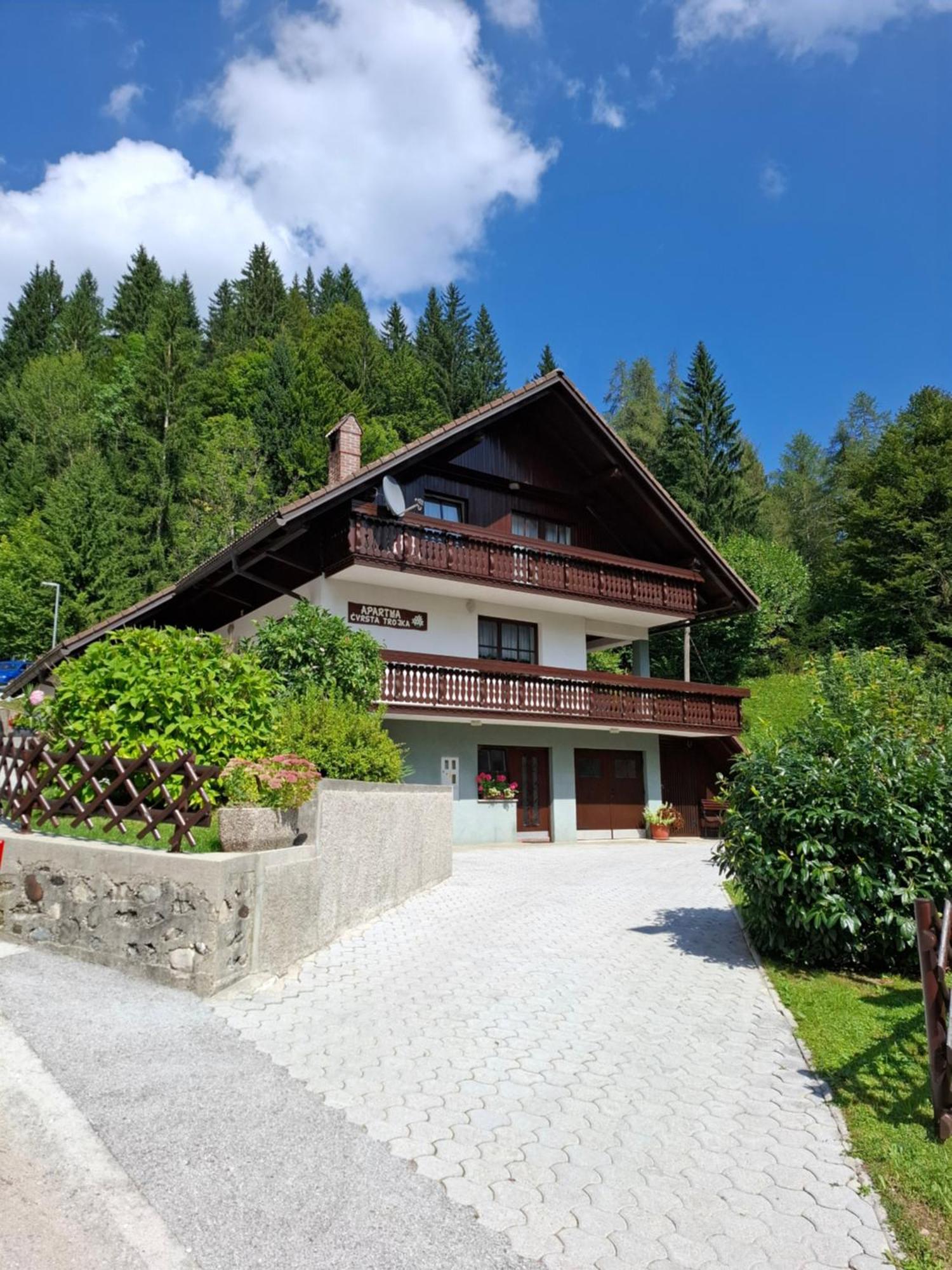 Apartma Cvrsta Trojka Jesenice Ngoại thất bức ảnh